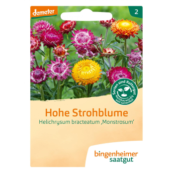 Hohe Strohblume  Saatgut-tüte