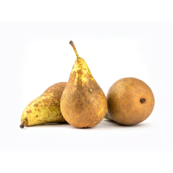 Birne  4 kilo  div - Schalenfehler -Familienfreundlich Großgebinde