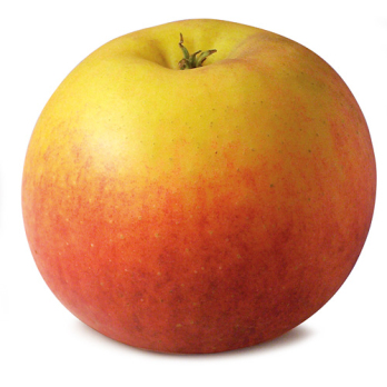 Äpfel Topaz - demeter