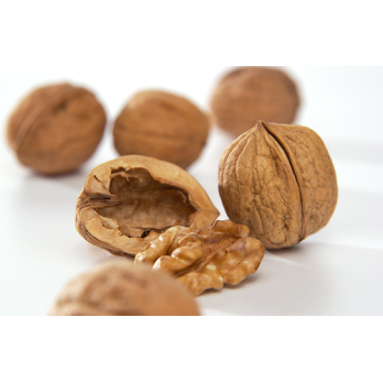 Walnüsse Nuss-Aktion  (Walnuss mit Schale)