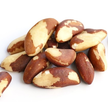 Paranüssekerne ca 150g ohne Schale (geschält)