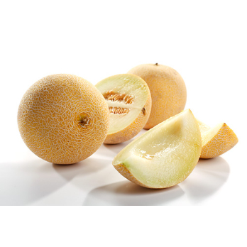 Melone Galia ca  0,8 -1,2 kg