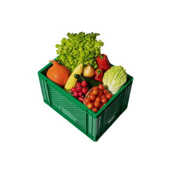 Rohkost-Box mittel