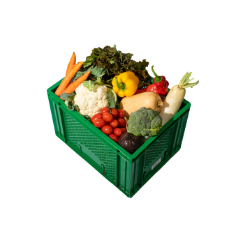 Gemüse-Box Großfamilie