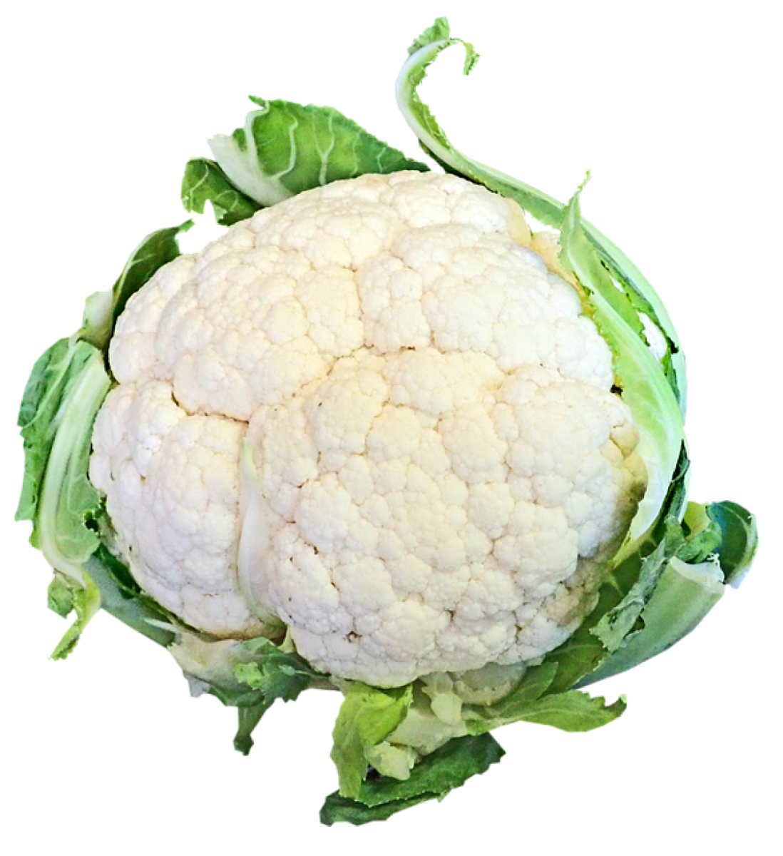 Blumenkohl