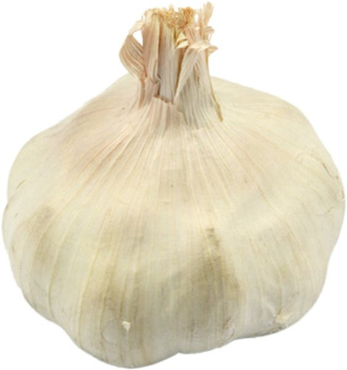 Knoblauch