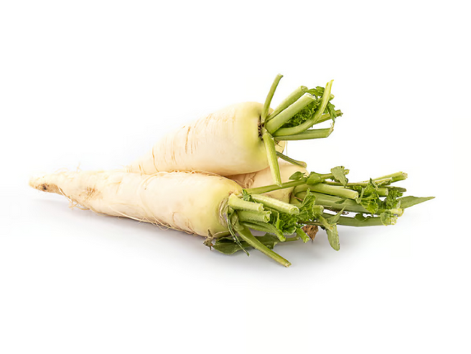 Rettich - weiß und sehr schön   a 350g
