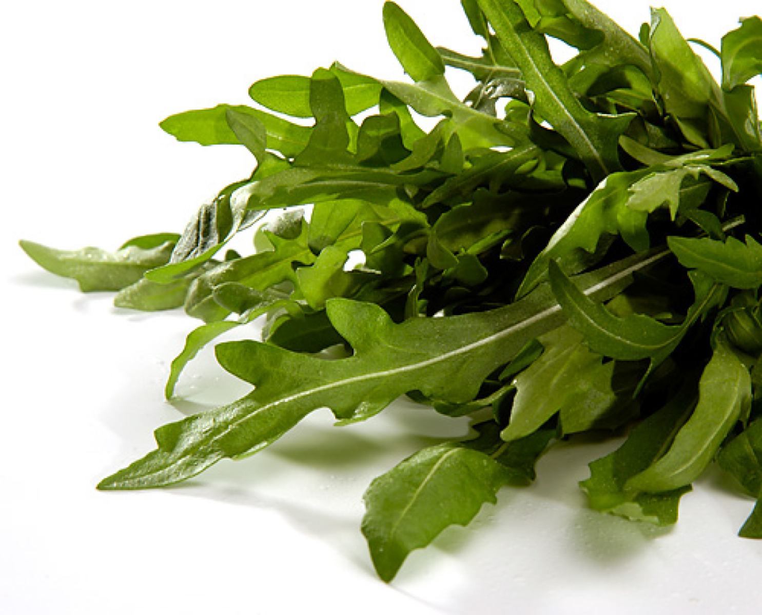 Salatrauke / Rucola  Bund 75g