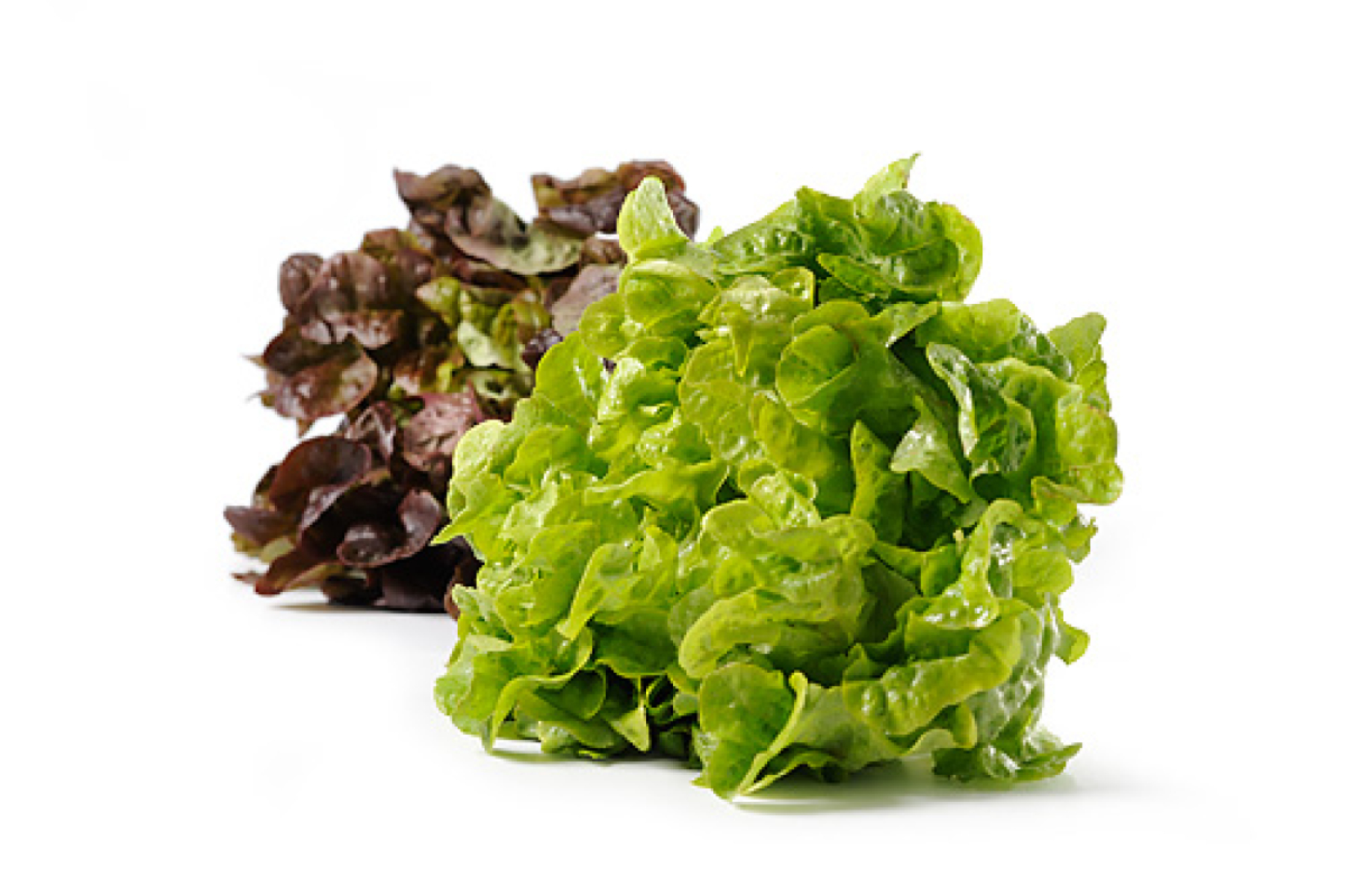 Salat der Woche - je nach Angebot