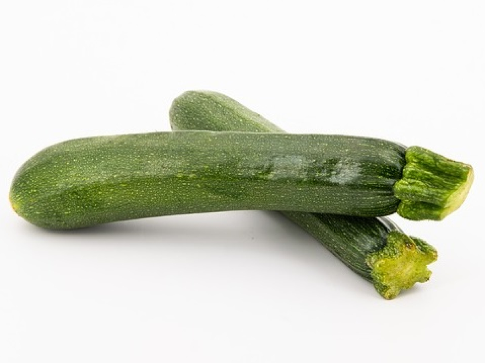 Zucchini grün - Hofgut Wallenburg