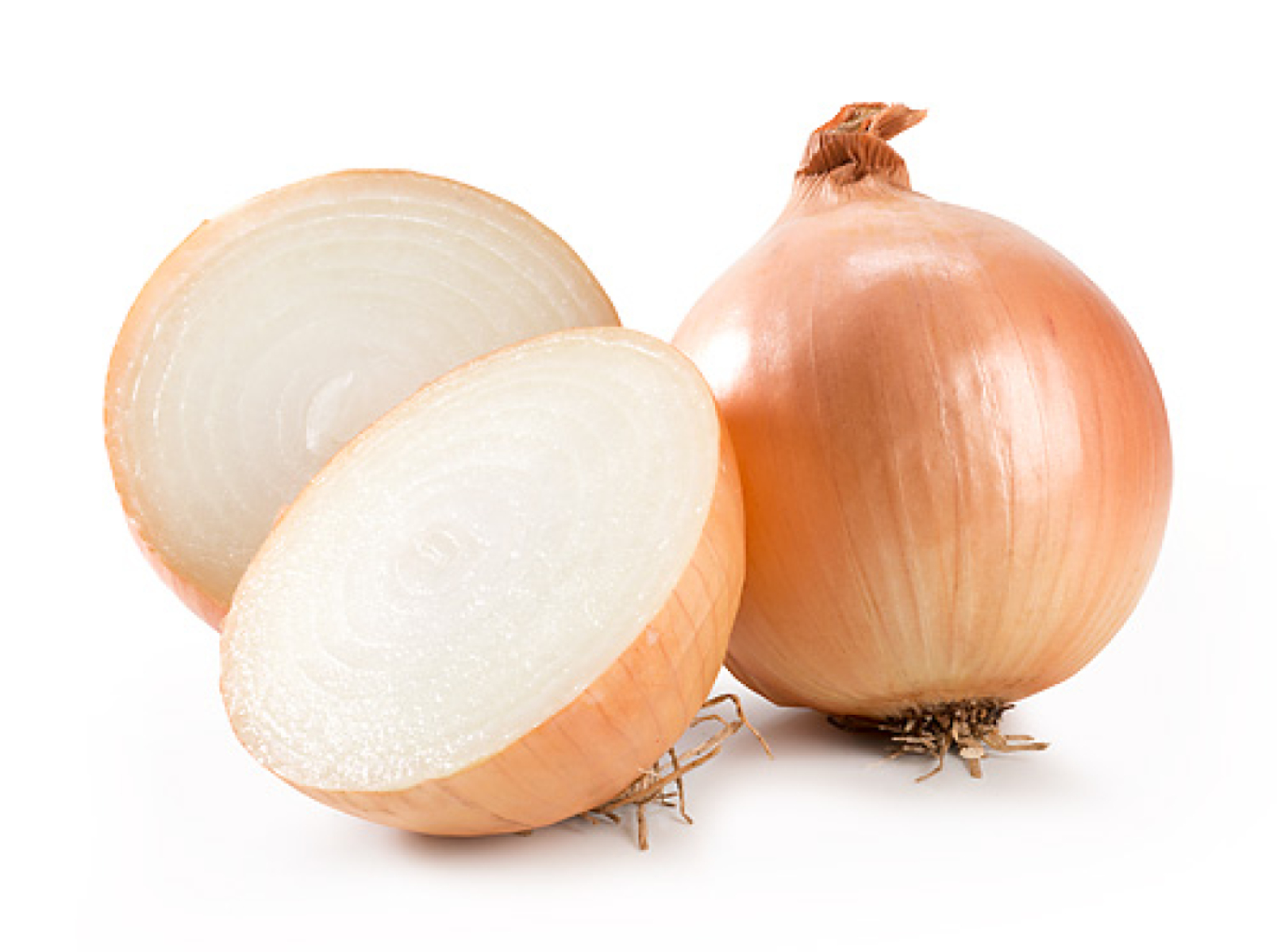 Zwiebel (mittel)