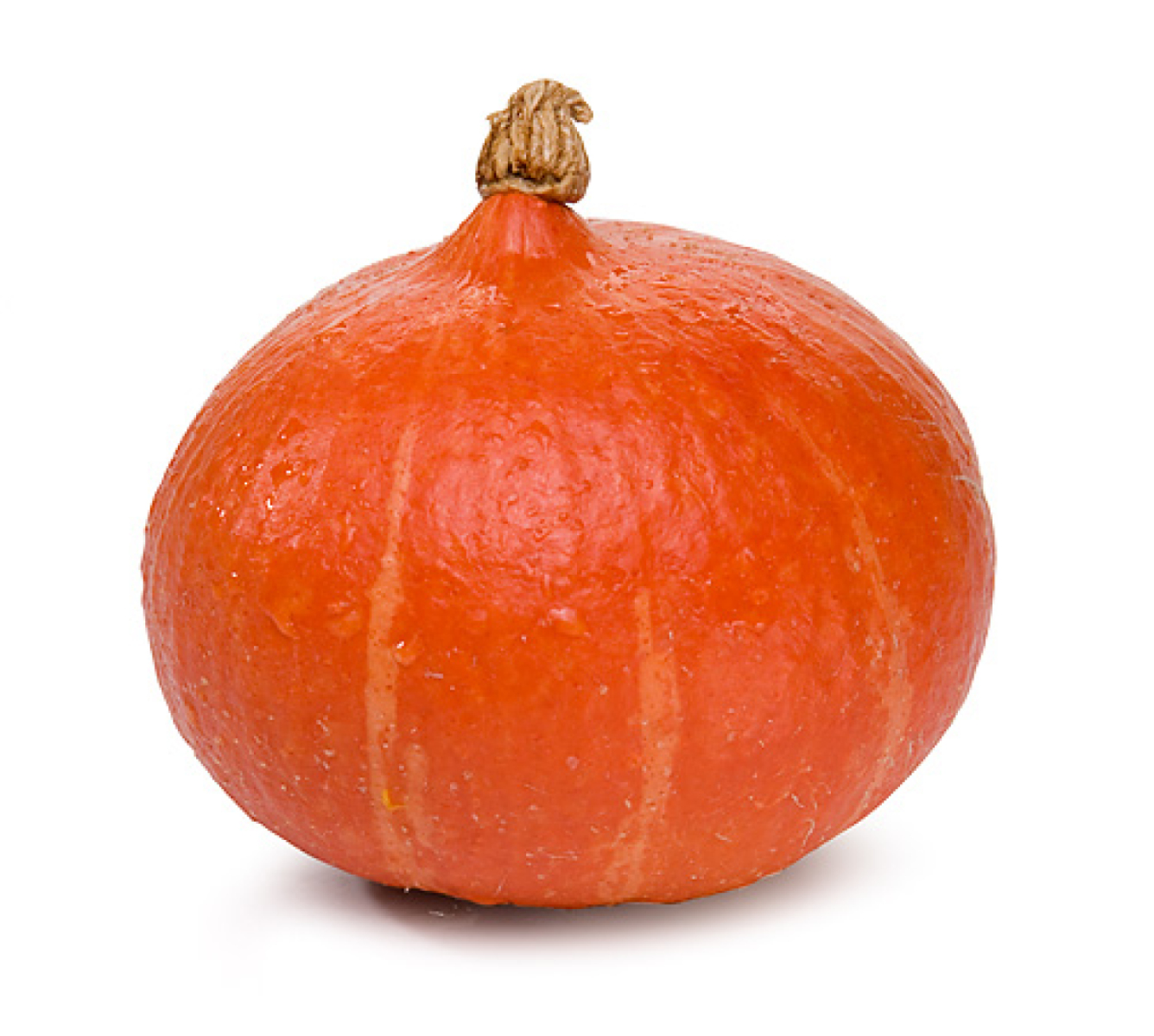 Kürbis Hokkaido Saisonende kleine Kalieber 0,8-1,4 kg