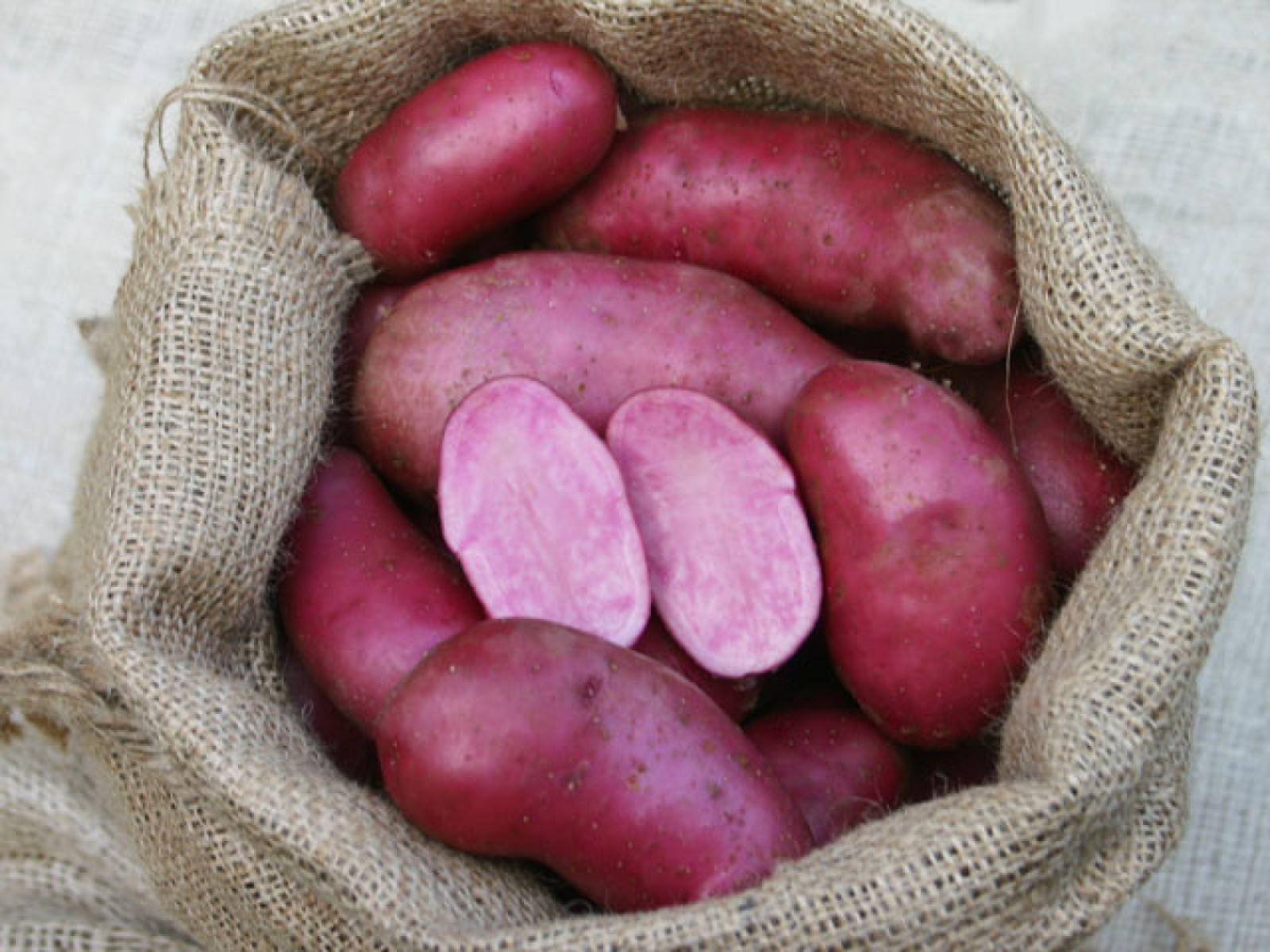 Kartoffel Rote Emmalie, vf, (o.Heiderot)  würziger Geschm. rot-zartrosa Fleisch