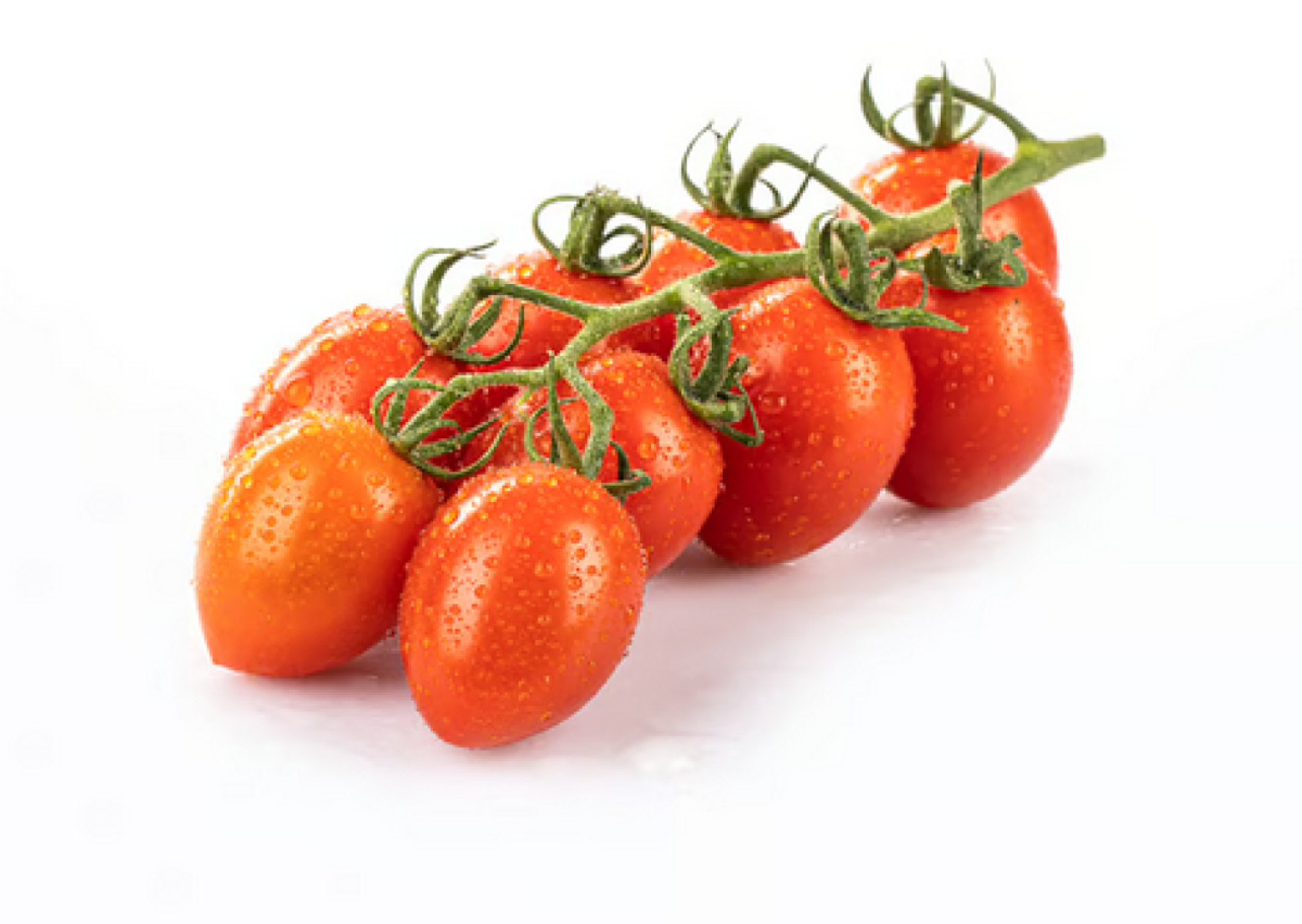 Tomate Piccadilly Rispen-Cherry (kl. Roma-tomate)