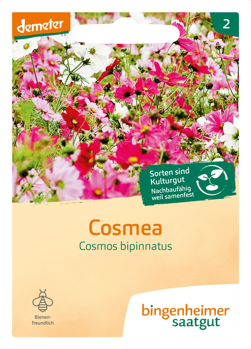 Saatgut Cosmea
