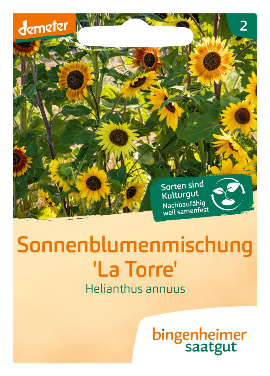 Saatgut Sonnenblume - La Torre