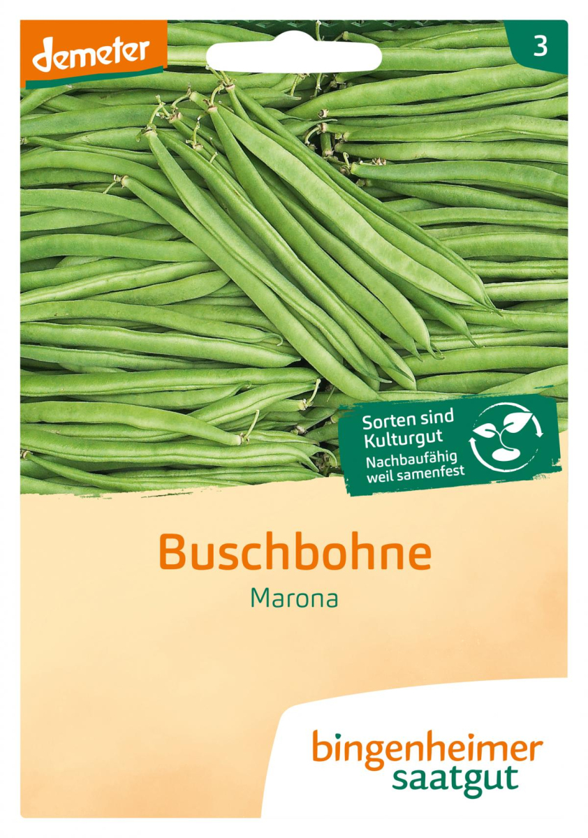 Saatgut Buschbohnen