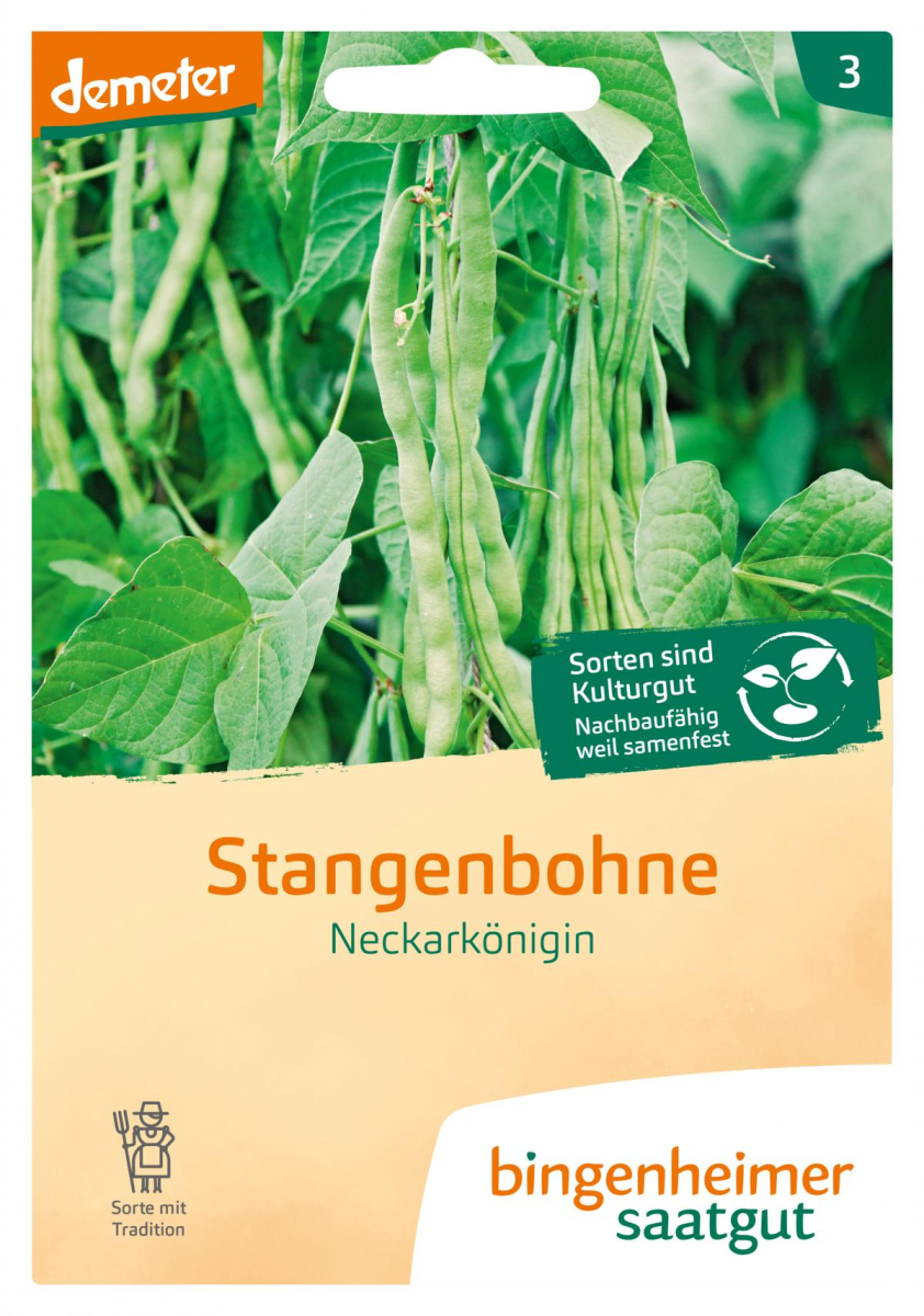 Saatgut Stangenbohnen - Neckarkönigin