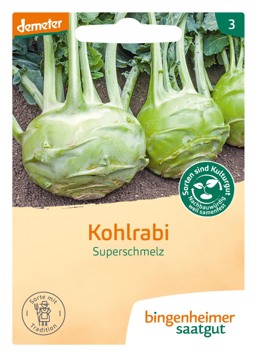 Saatgut Kohlrabi weiß - Superschmelz