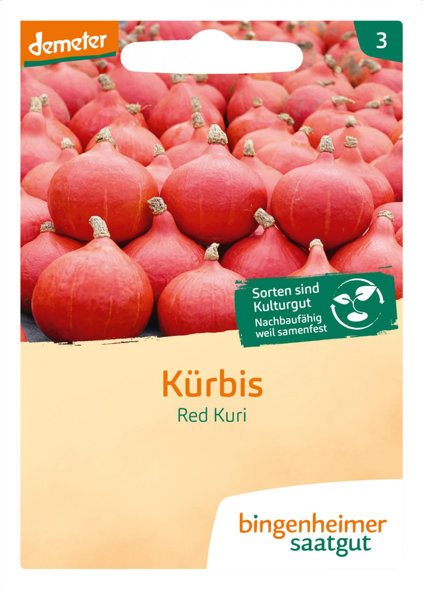 Saatgut Kürbis Hokkaido - Red Kuri