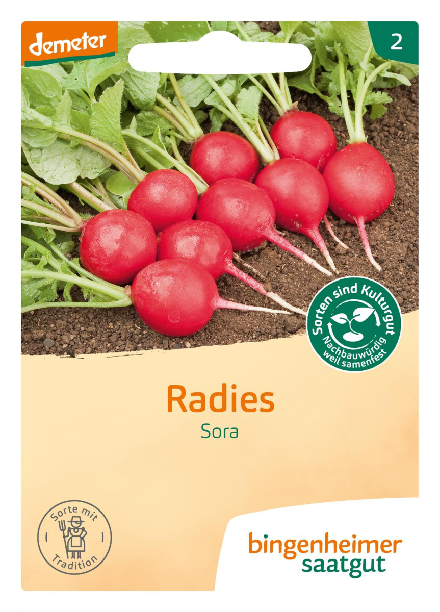 Saatgut Radies - Sora