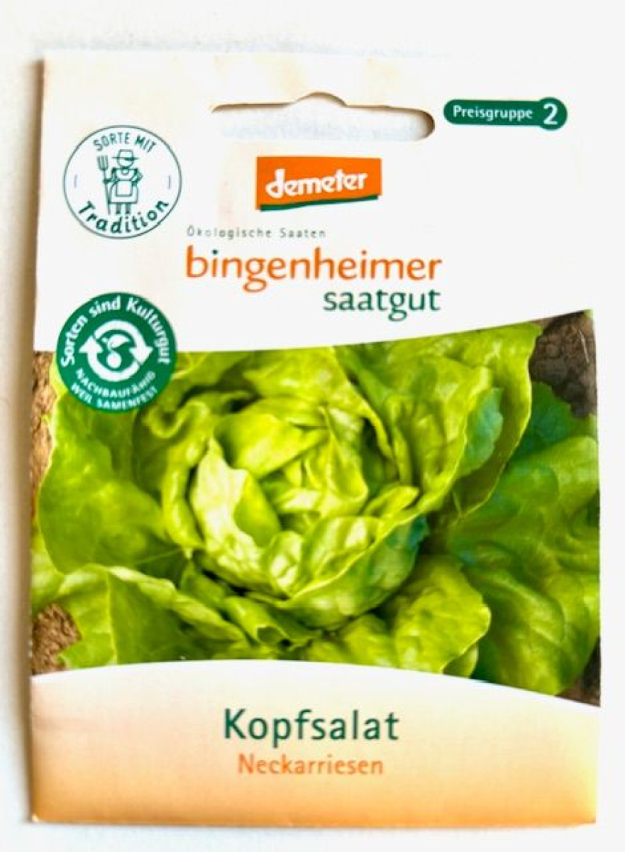 Saatgut Kopfsalat - Neckarriesen
