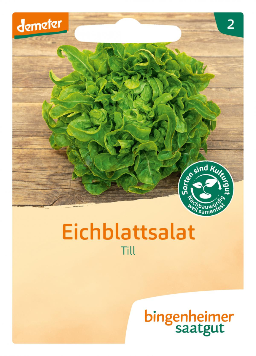 Saatgut Eichblattsalat - Till