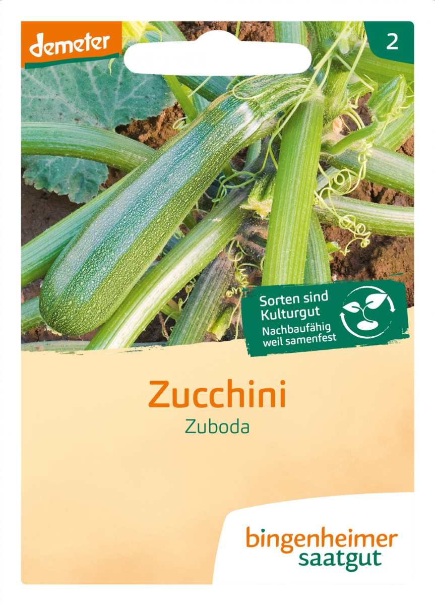 Saatgut Zucchini - Zuboda