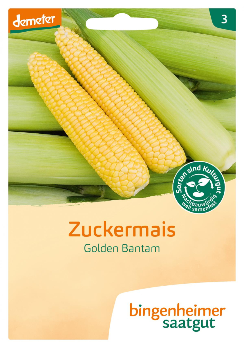 Saatgut Zuckermais - Golden Bantam