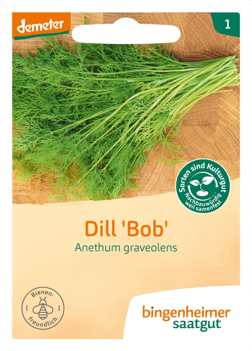 Saatgut Dill