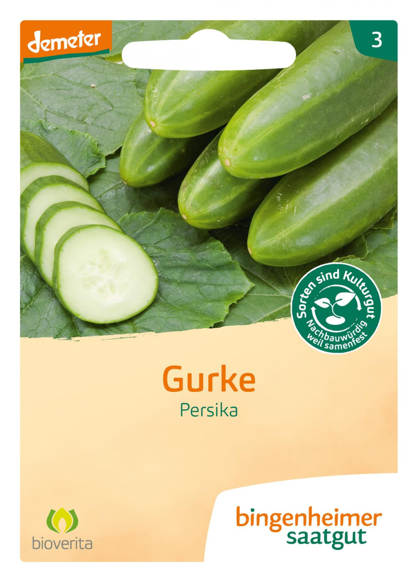 Saatgut Gurke (Freiland) - Persika