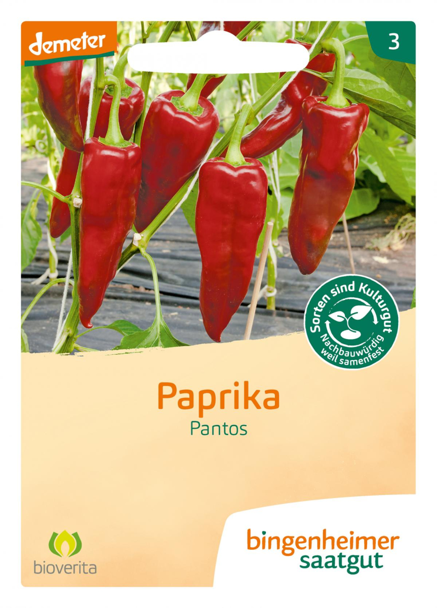 Saatgut Paprika - Pantos