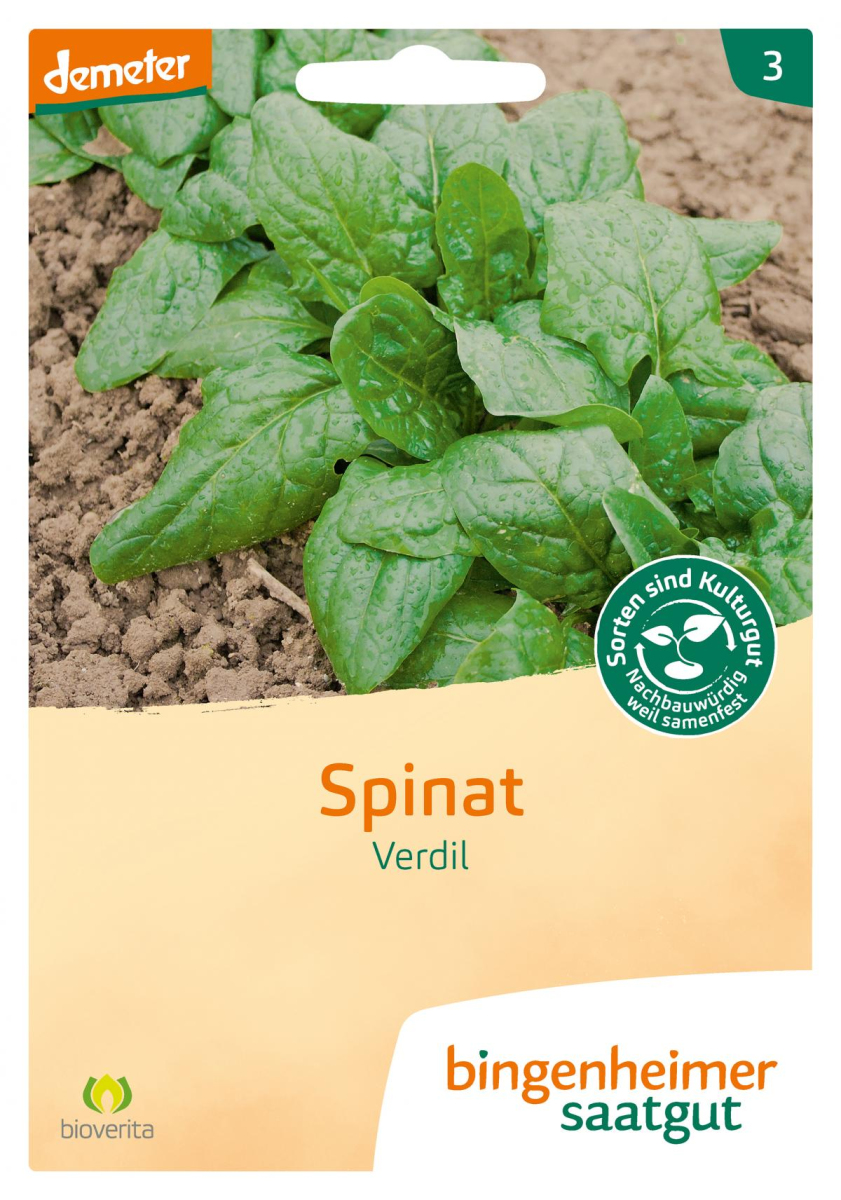 Saatgut Spinat - Verdil