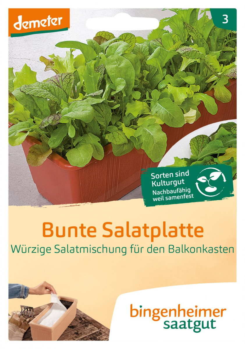 Saatgut Bunte Salatplatte Salatmischung