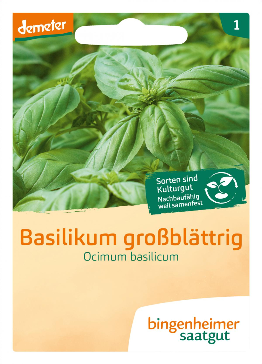 Saatgut Basilikum großblättrig