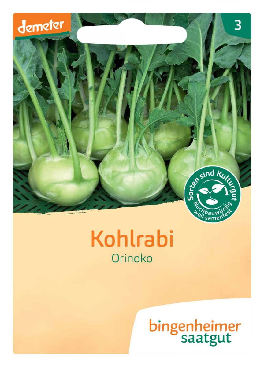 Saatgut Kohlrabi