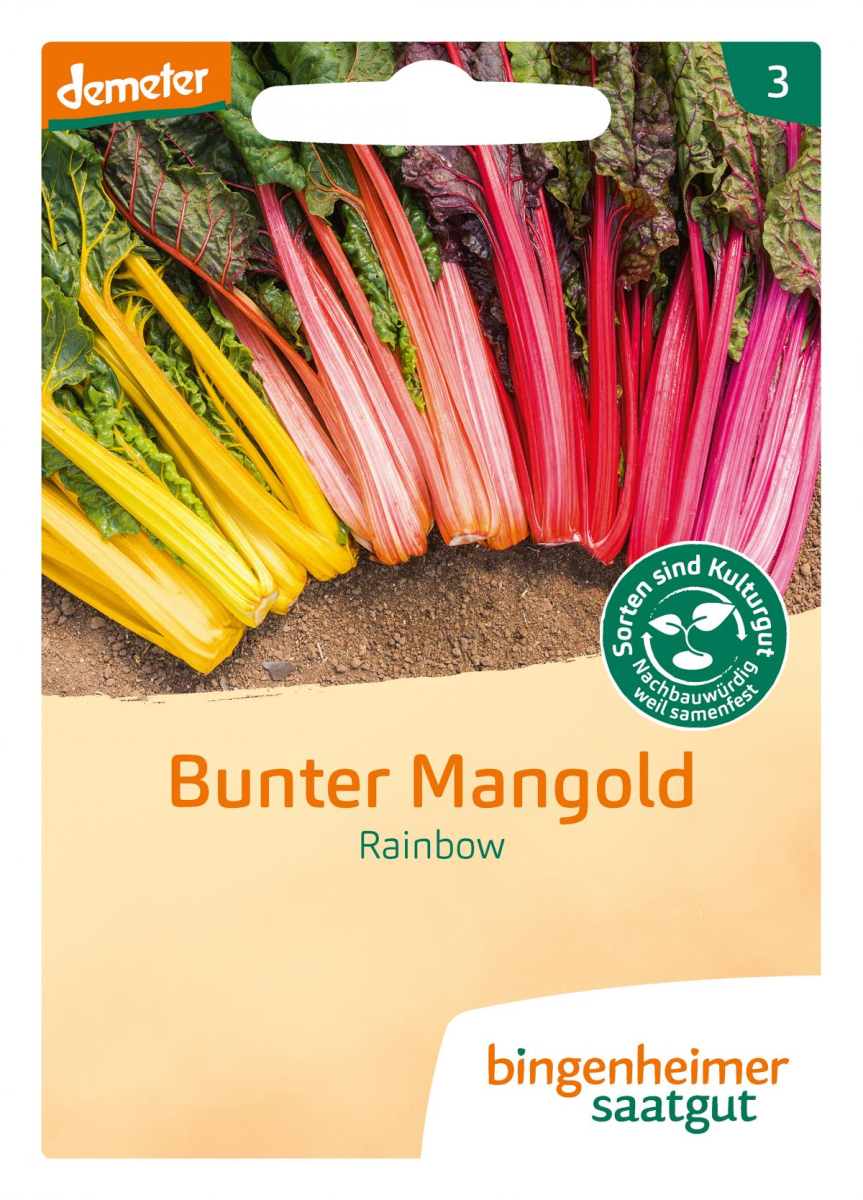 Saatgut bunter Mangold Rainbow