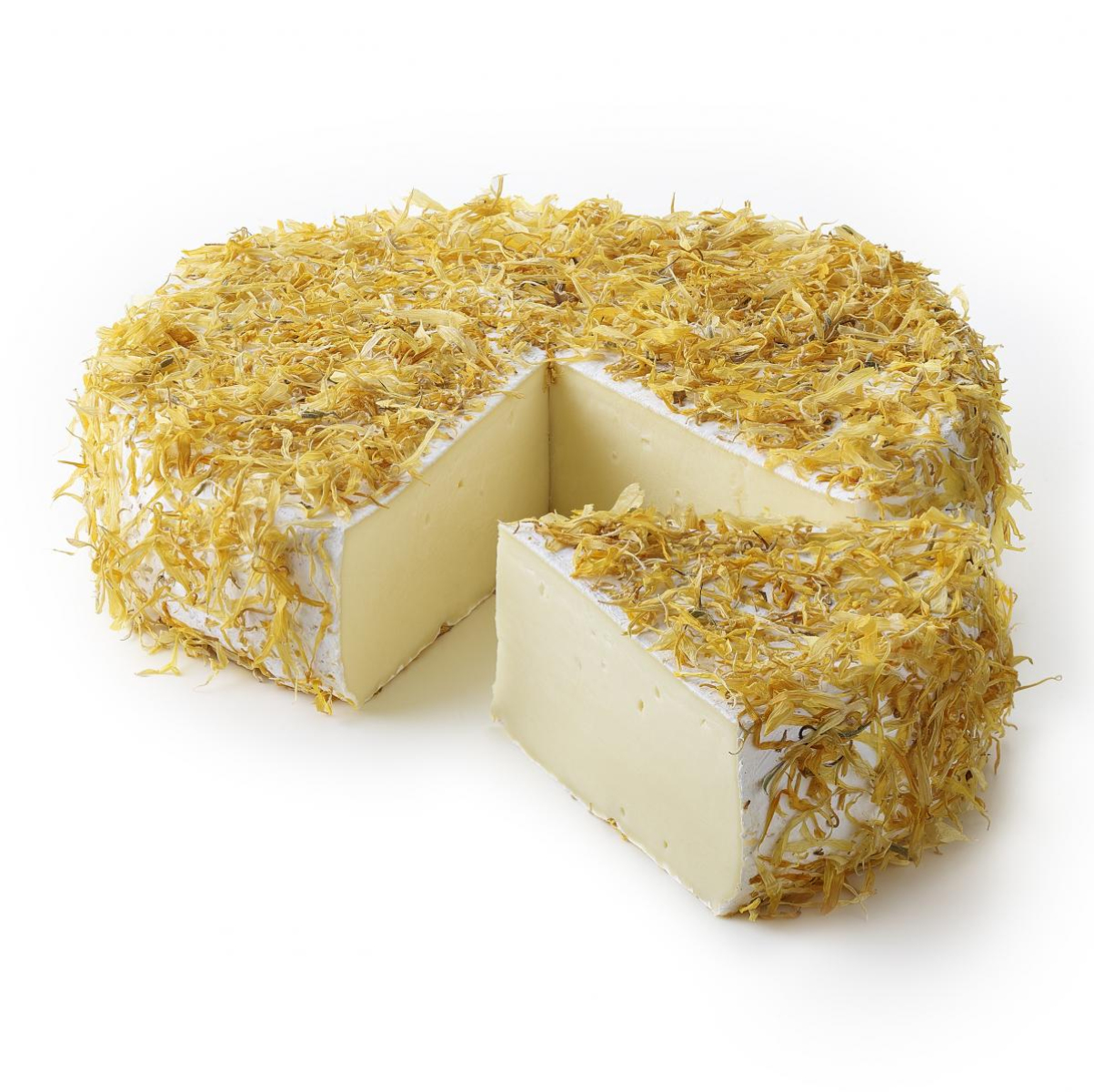 Septemberaktion  Damse Brie Marigold (Ringelblume)