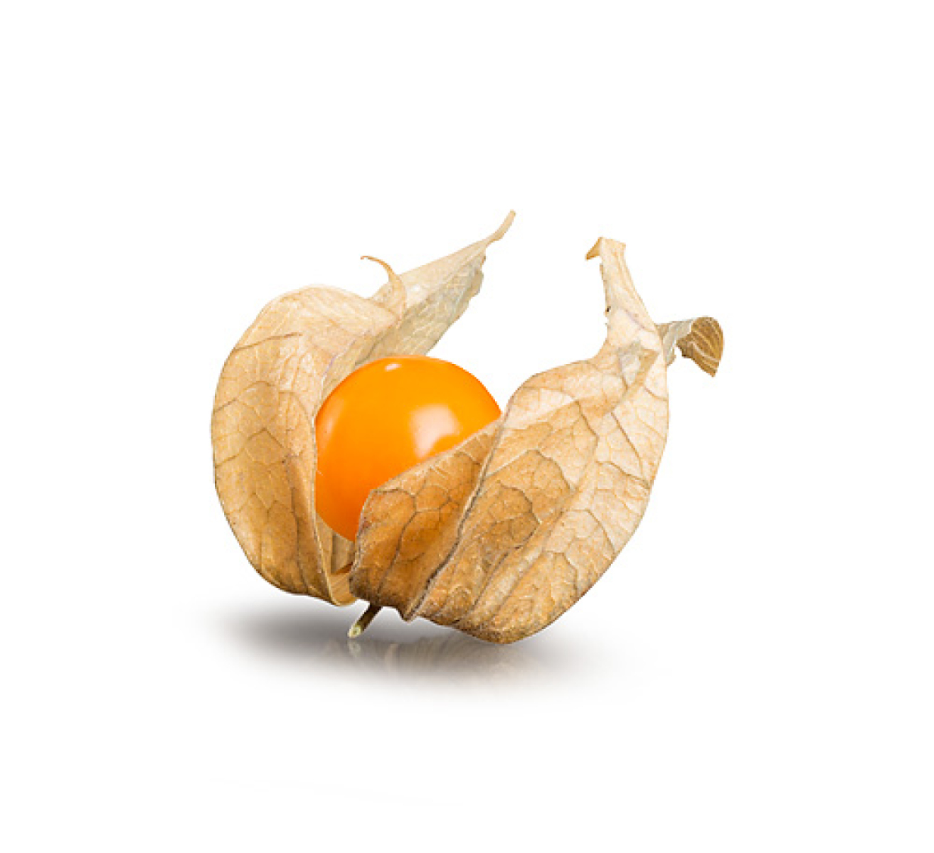 Physalis/Andenbeeren (100 g Schale)