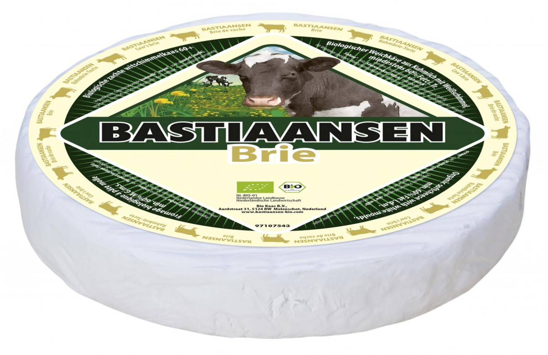 Rahmbrie-Torte  - cremiger Weichkäse