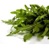 Salatrauke / Rucola  Bund 75g  oder 100g Schale
