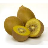 Kiwi gold - (Stückartikel) Italien