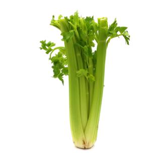 Staudensellerie - Stückware -