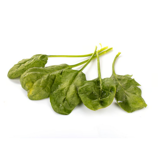 Wurzelspinat