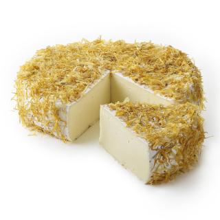 Septemberaktion  Damse Brie Marigold (Ringelblume)