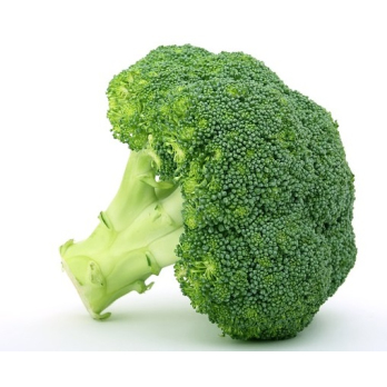 Broccoli -