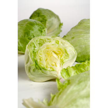 Salat Eissalat