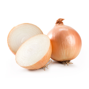 Zwiebel (mittel)