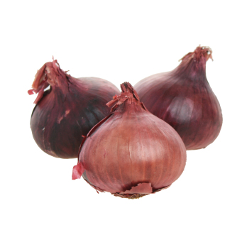 Zwiebel rot