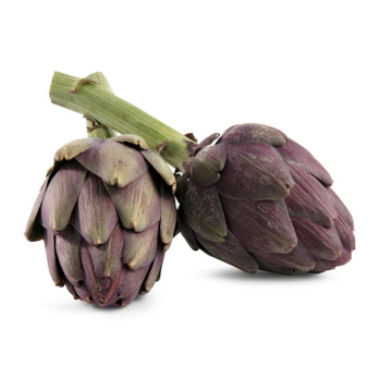 Artischocken 155g - 185g/Stück